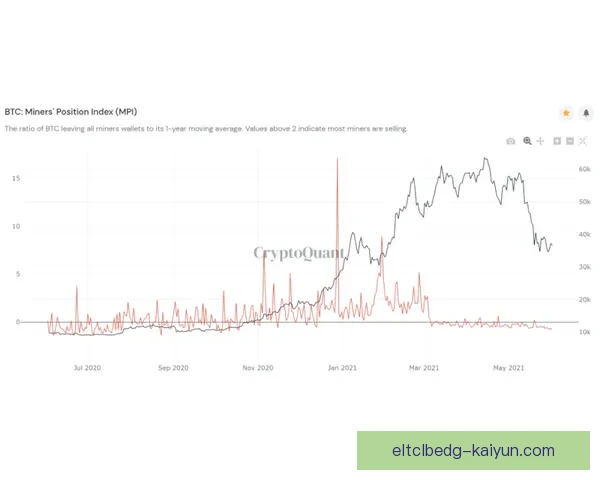 Son Jr. 迎来职业生涯新阶段，备受关注的未来发展趋势分析