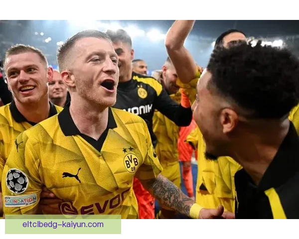 德甲黄墙主场受到球迷热捧，球队表现值得关注